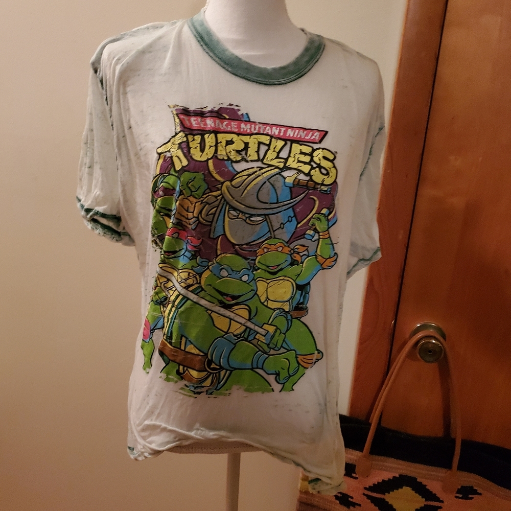 Teenage mutant ninja turtles